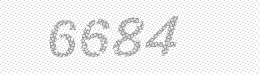 Visual security code — type the characters shown in the image